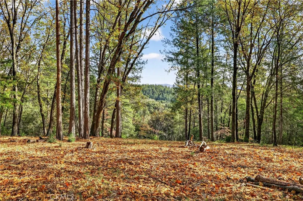 Burgundy Lane Forest Ranch, CA 95942