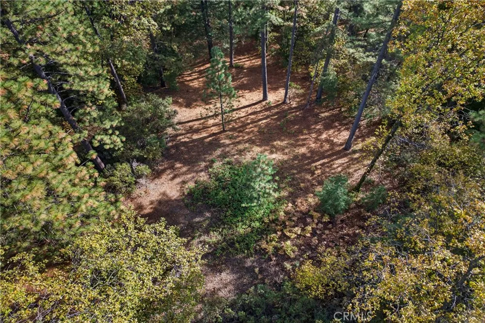 Burgundy Lane Forest Ranch, CA 95942