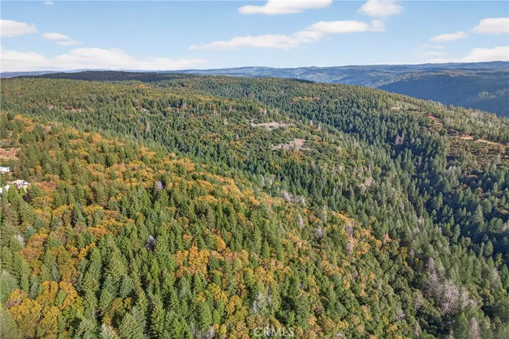 Burgundy Lane Forest Ranch, CA 95942