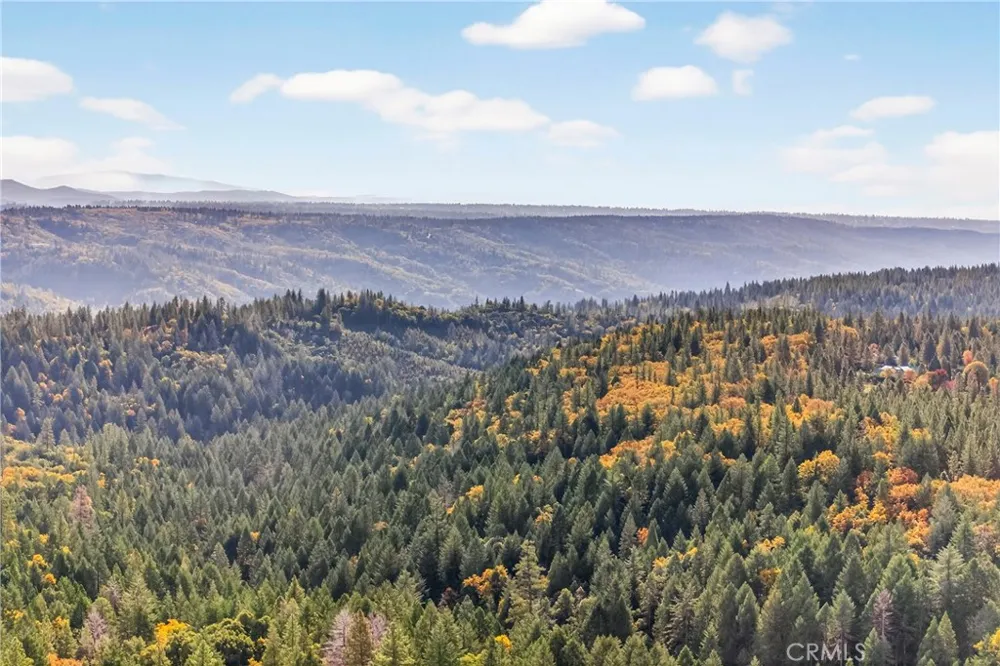 Burgundy Lane Forest Ranch, CA 95942