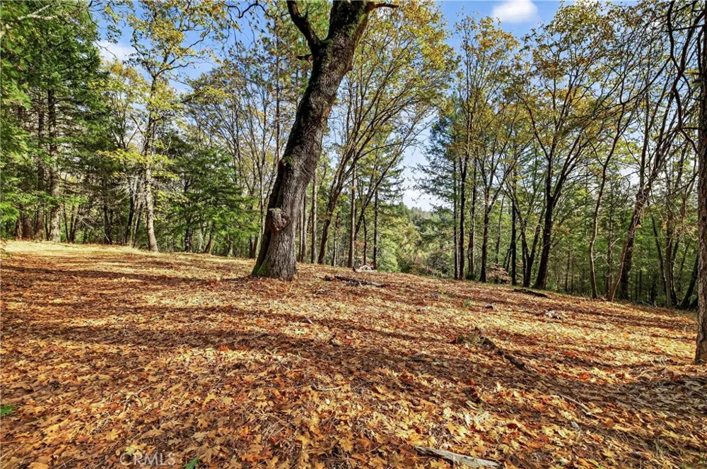 Burgundy Lane Forest Ranch, CA 95942