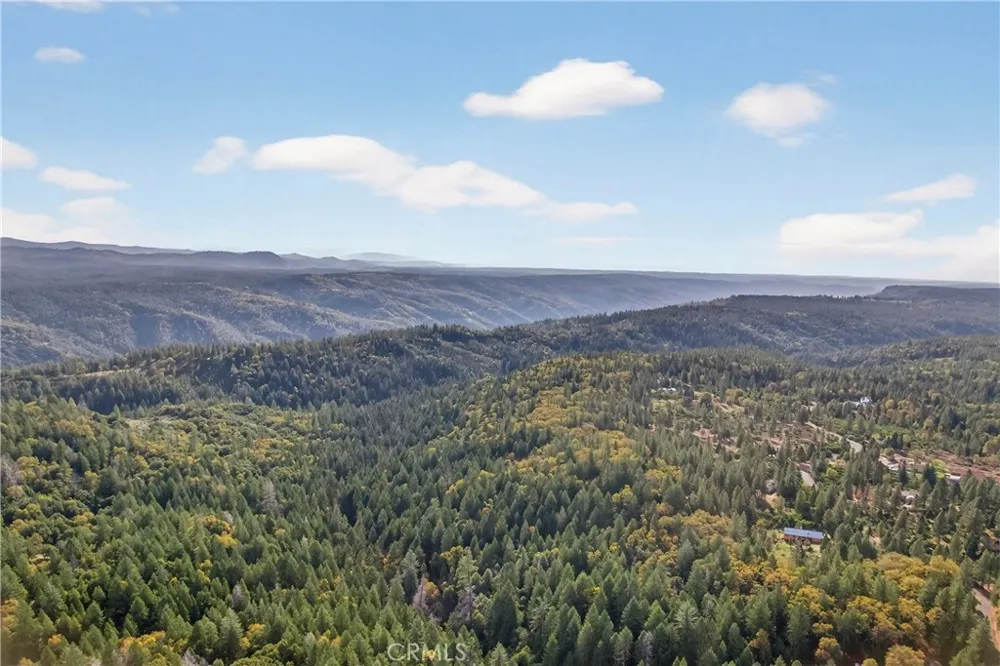 Burgundy Lane Forest Ranch, CA 95942