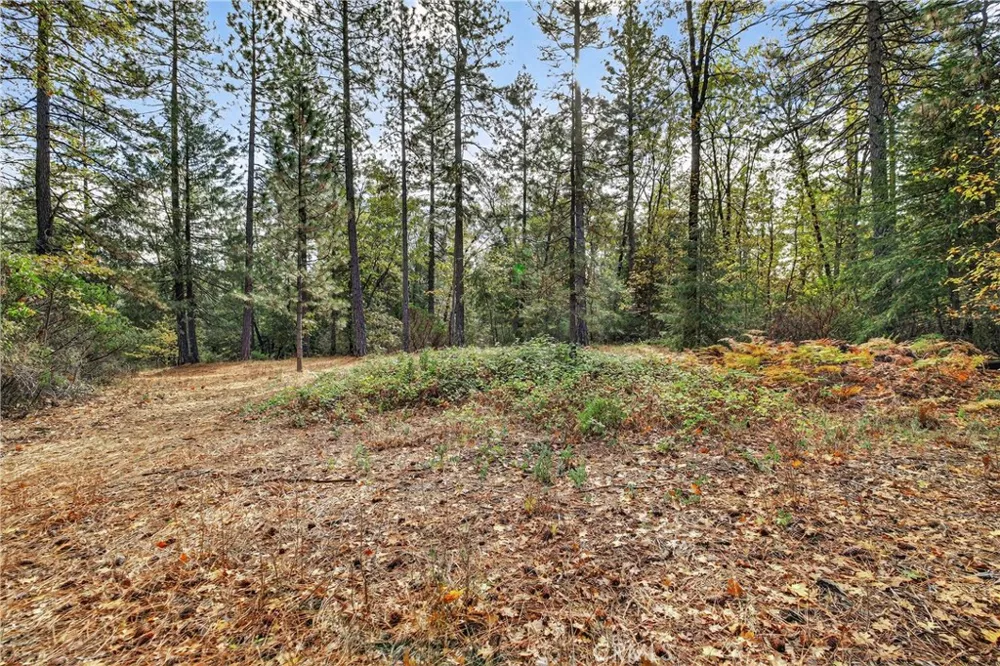 Burgundy Lane Forest Ranch, CA 95942
