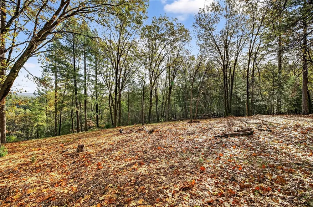 Burgundy Lane Forest Ranch, CA 95942