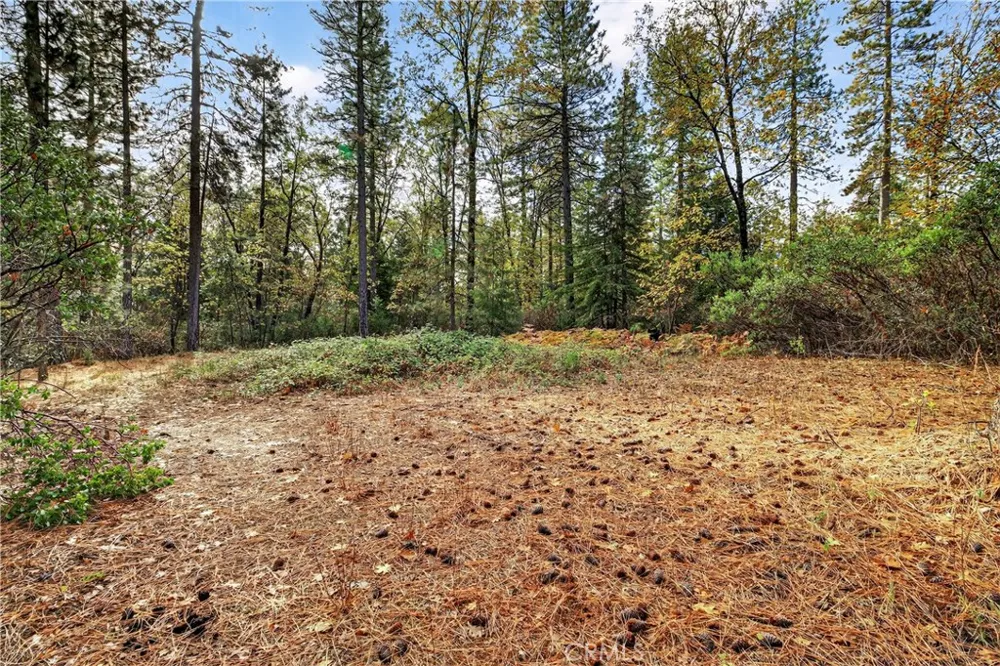 Burgundy Lane Forest Ranch, CA 95942