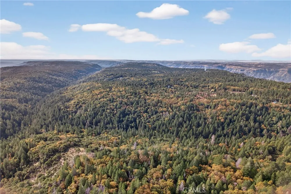Burgundy Lane Forest Ranch, CA 95942