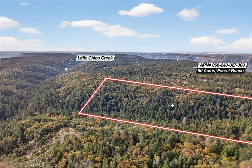 Burgundy Lane Forest Ranch, CA 95942
