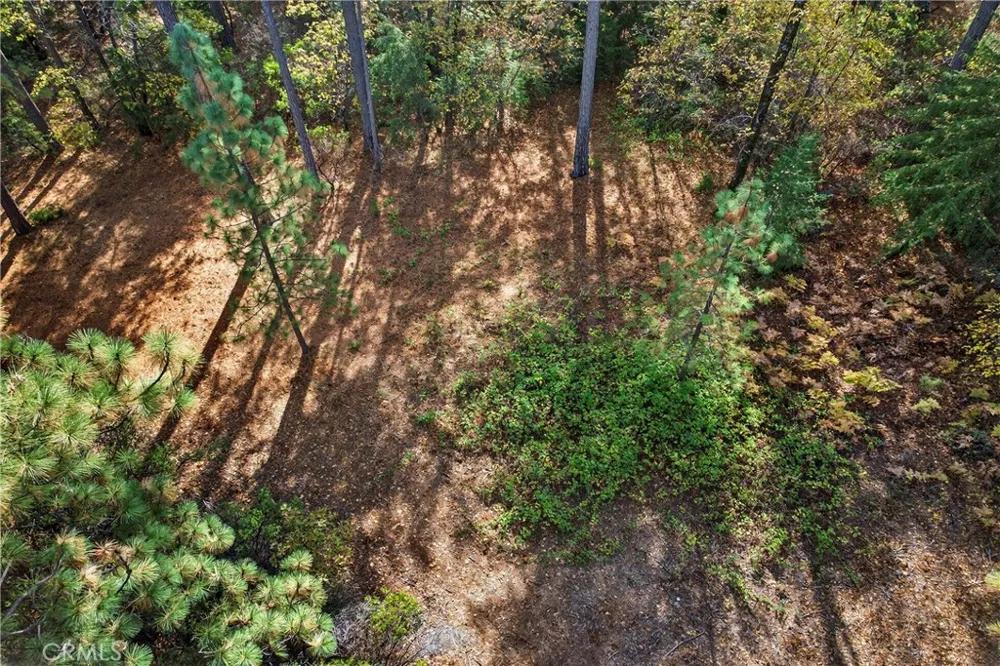 Burgundy Lane Forest Ranch, CA 95942