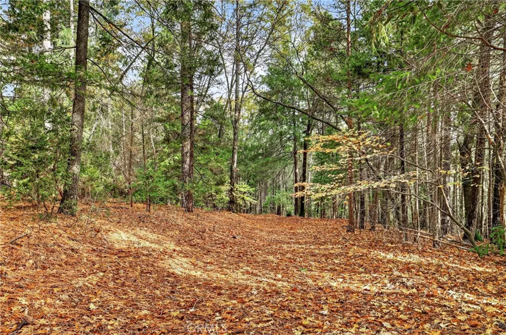 Burgundy Lane Forest Ranch, CA 95942