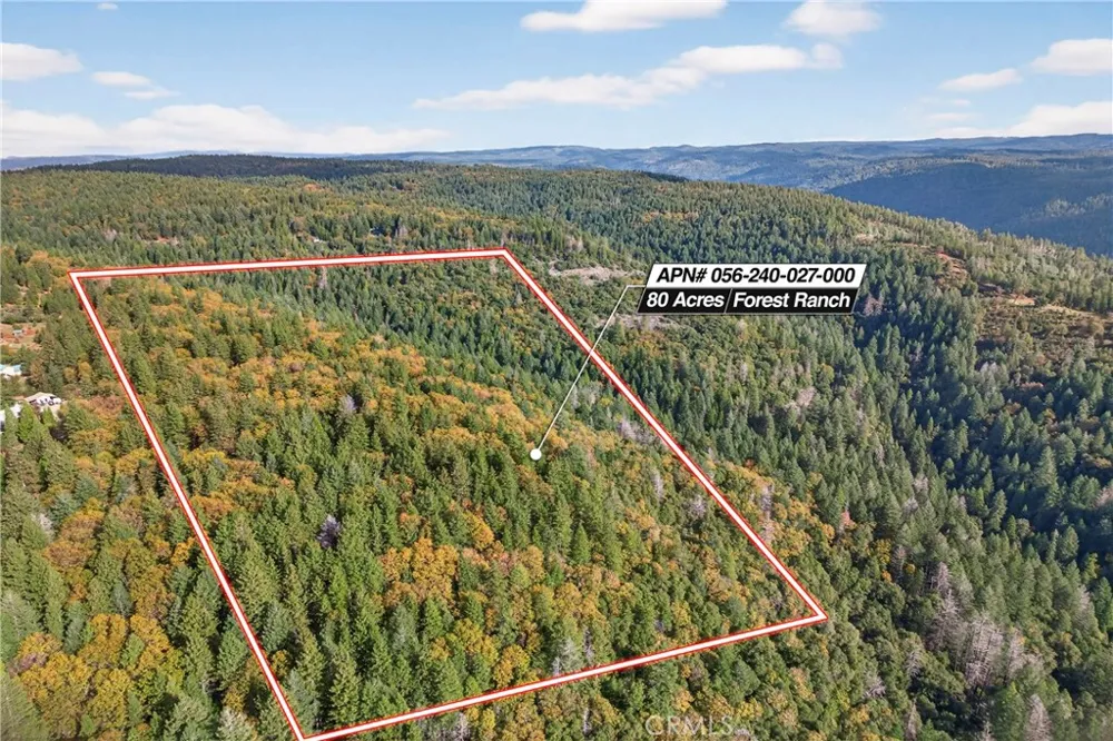 Burgundy Lane Forest Ranch, CA 95942