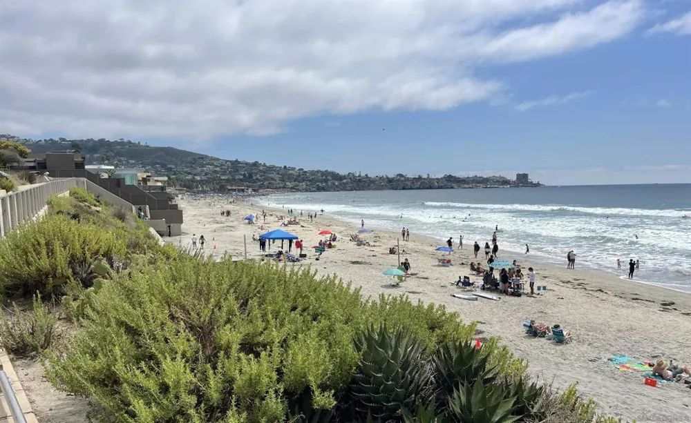 2510 Torrey pines Rd #413 La Jolla, CA 92037
