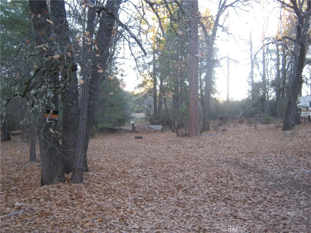 9000 S State Highway 29 Lower Lake, CA 95457