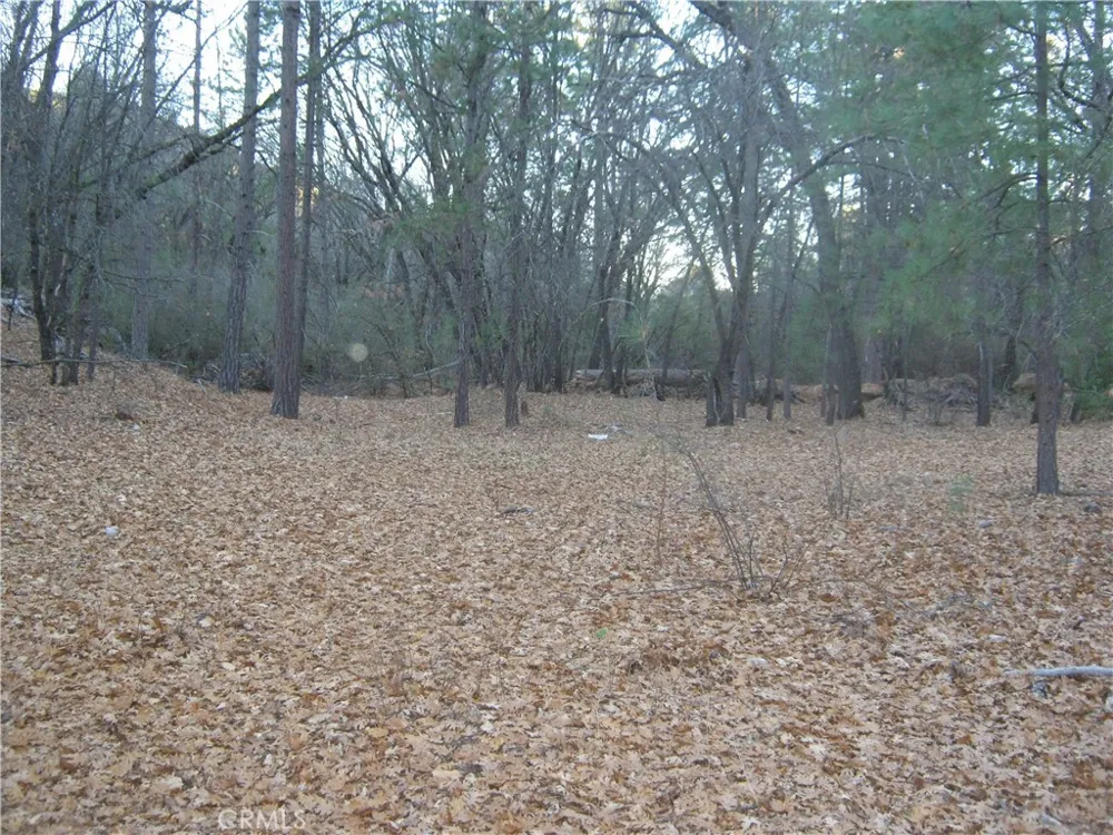 9000 S State Highway 29 Lower Lake, CA 95457