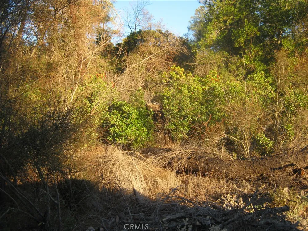 9000 S State Highway 29 Lower Lake, CA 95457