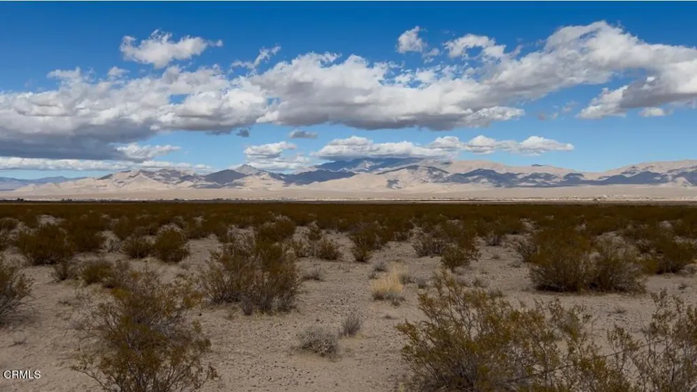 27 Cheyene Baker, CA 92309