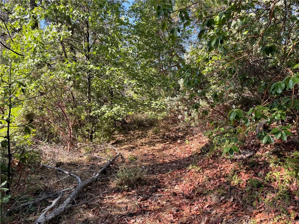 Forbestown Challenge, CA 95925