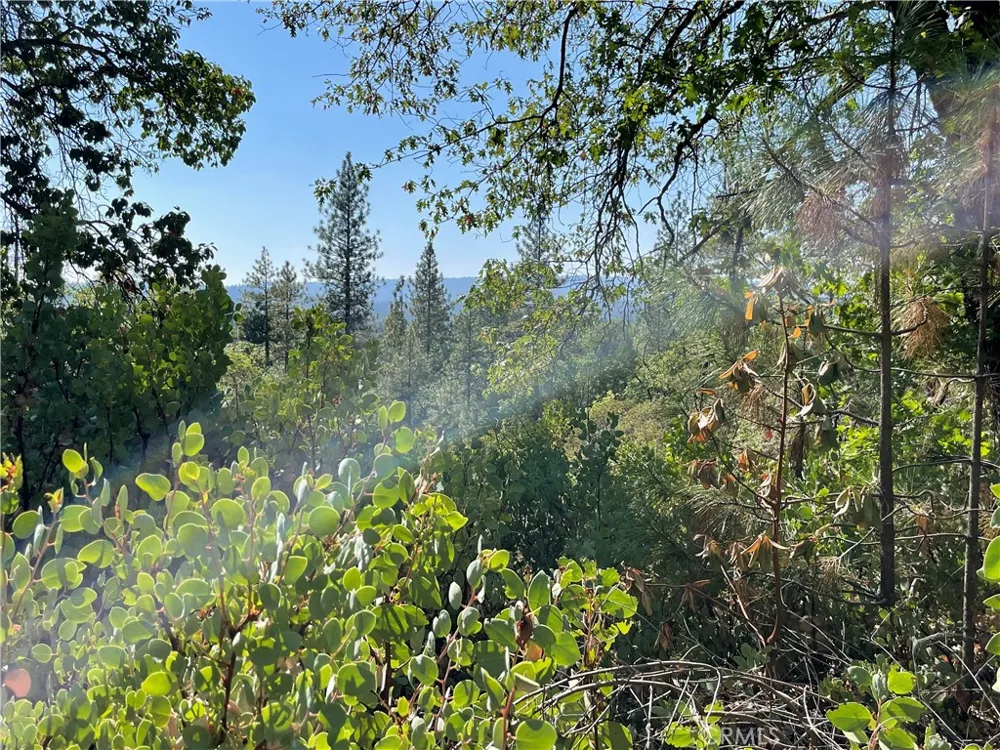 Forbestown Challenge, CA 95925