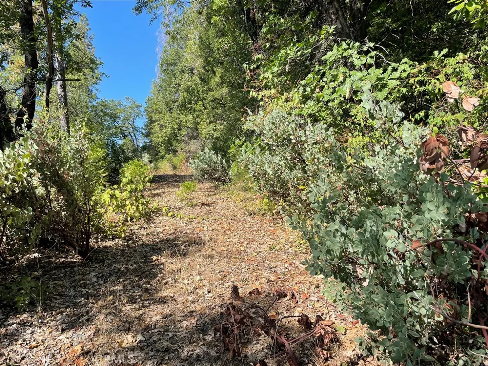 Forbestown Challenge, CA 95925