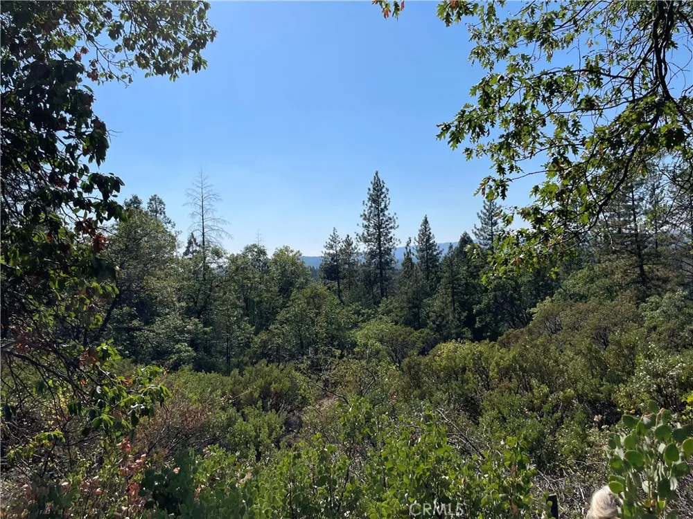 Forbestown Challenge, CA 95925