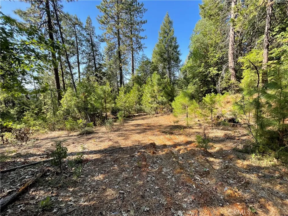 Forbestown Challenge, CA 95925