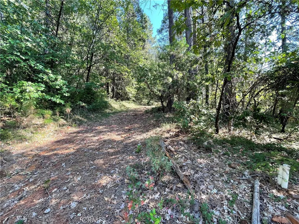 Forbestown Challenge, CA 95925