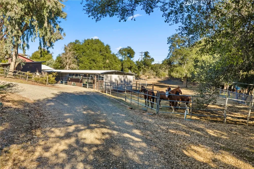 17705 Rodeo Road Ortega Mountain, CA 92530