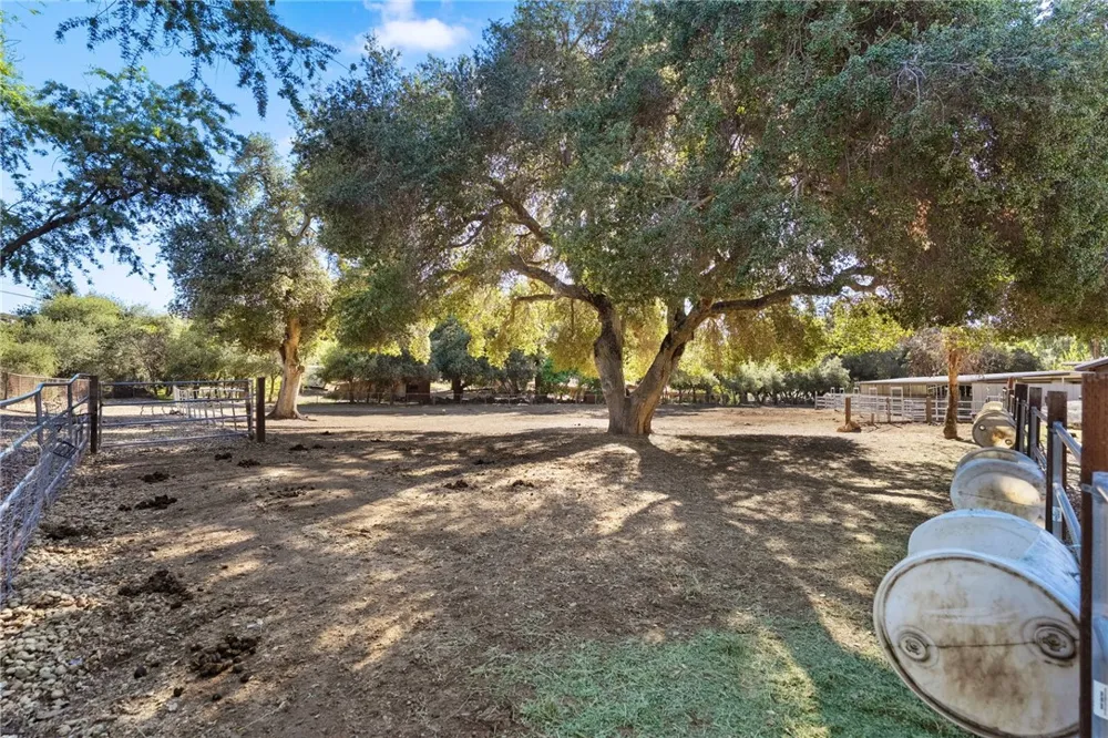 17705 Rodeo Road Ortega Mountain, CA 92530