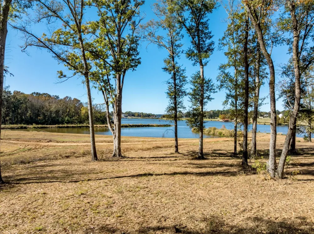 Carolina Drive Bullard, TX 75757