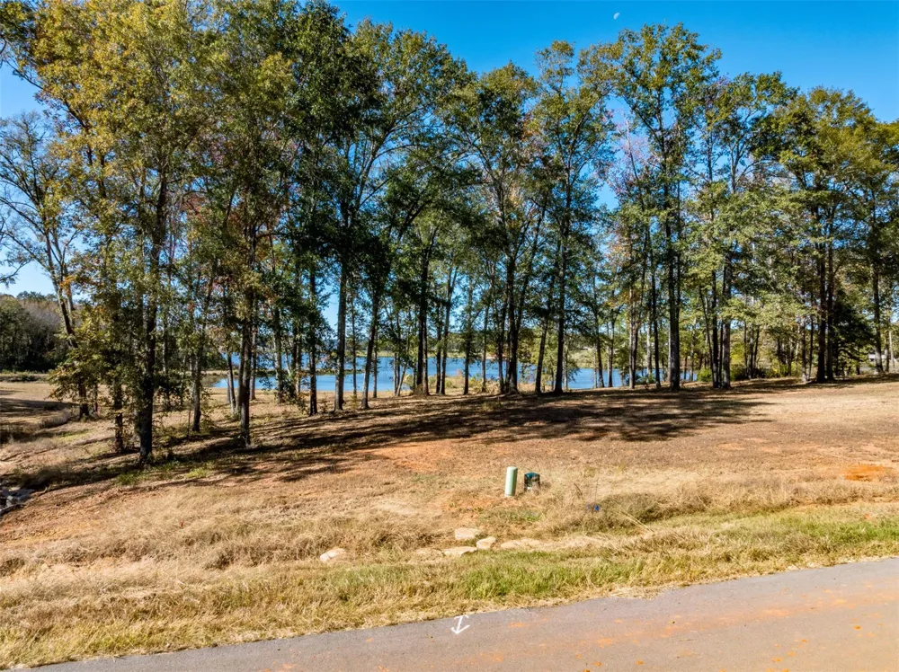 Carolina Drive Bullard, TX 75757