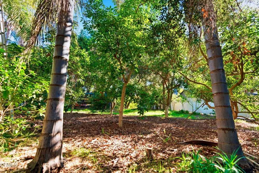 1400 Park Drive Ojai, CA 93023