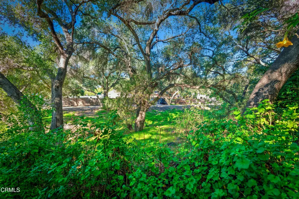 1400 Park Drive Ojai, CA 93023