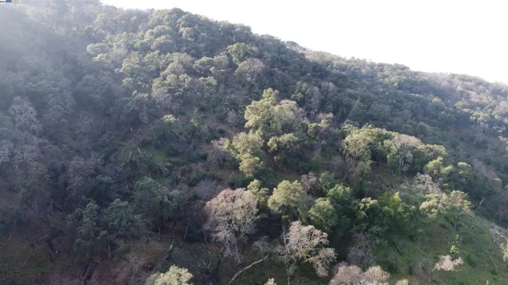 116 Ridgecrest Dr Napa, CA 94558