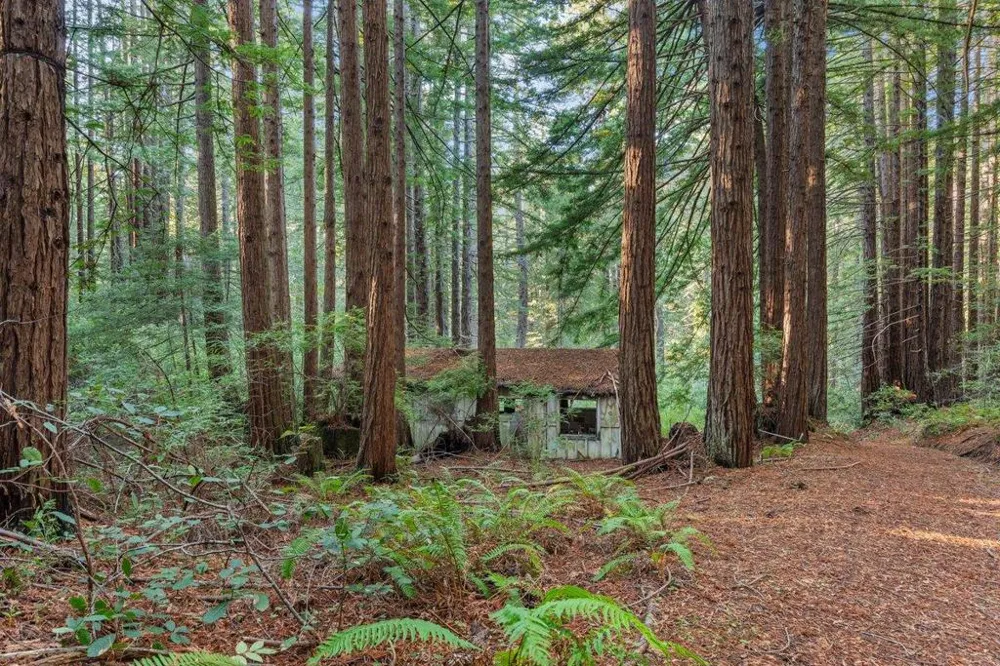 3936 Tunitas Creek Road Half Moon Bay, CA 94019
