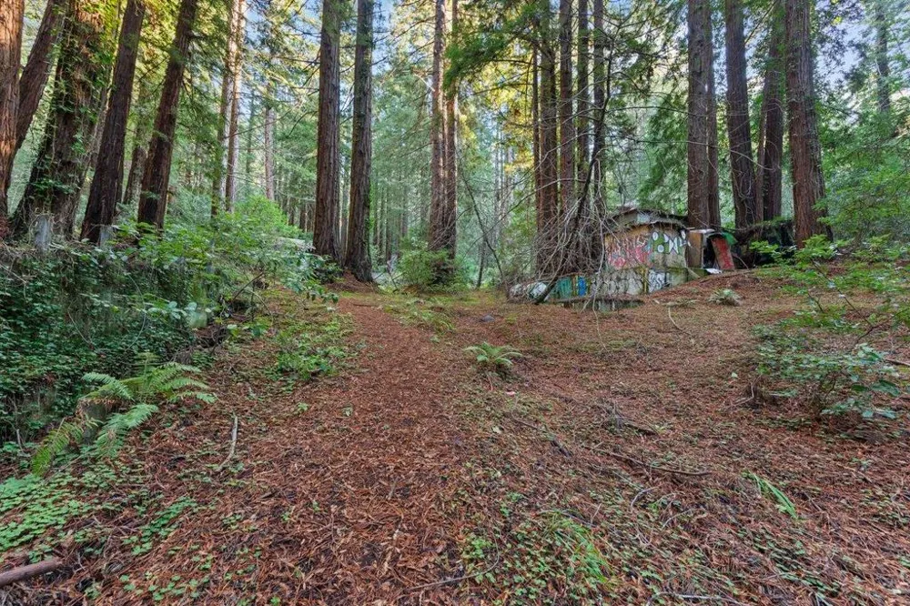 3936 Tunitas Creek Road Half Moon Bay, CA 94019