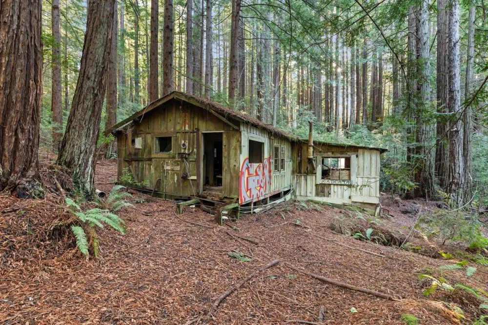 3936 Tunitas Creek Road Half Moon Bay, CA 94019