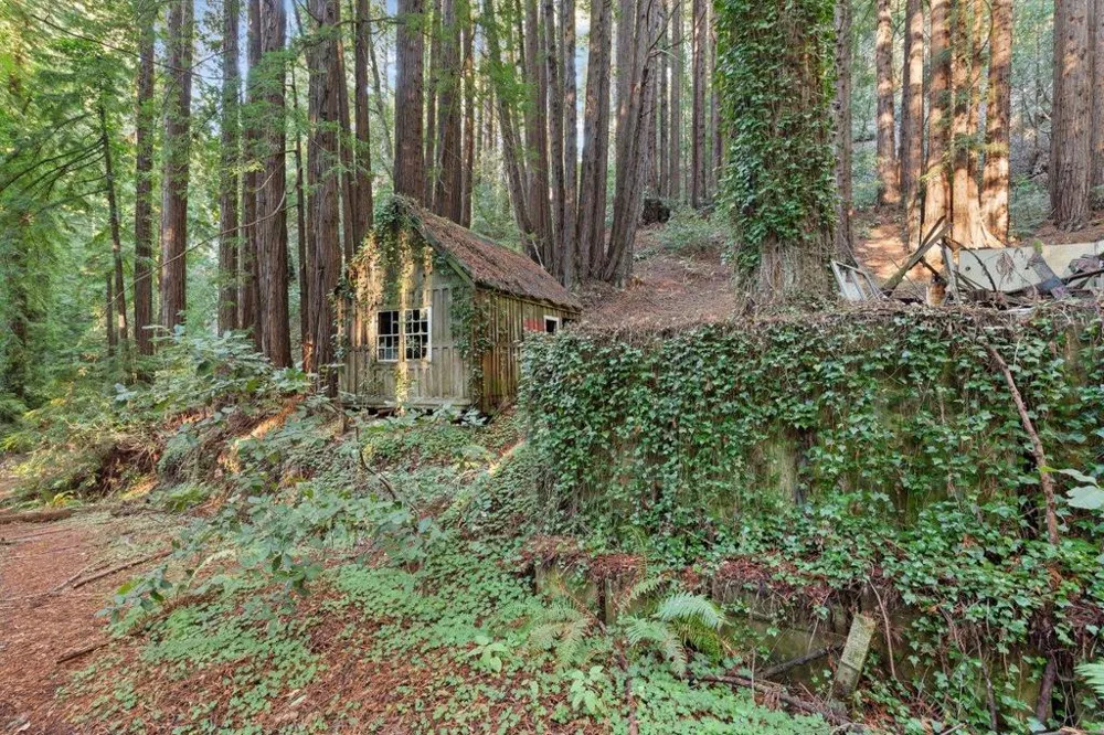 3936 Tunitas Creek Road Half Moon Bay, CA 94019