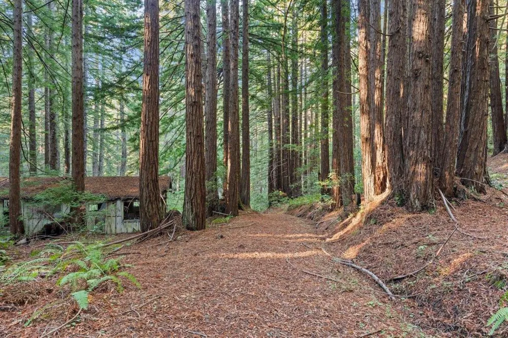 3936 Tunitas Creek Road Half Moon Bay, CA 94019