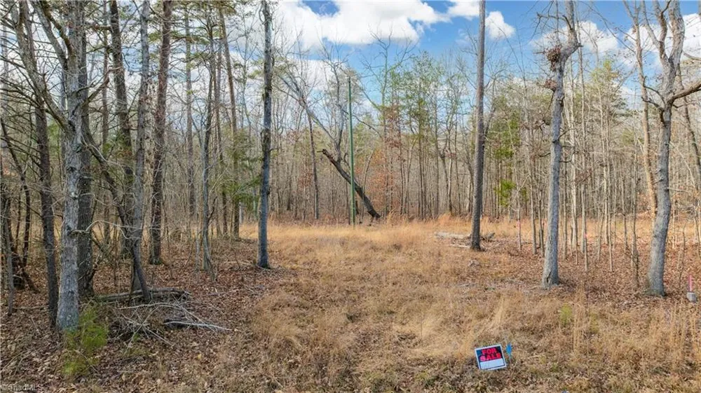 0 Cooper Road Staley, NC 27355