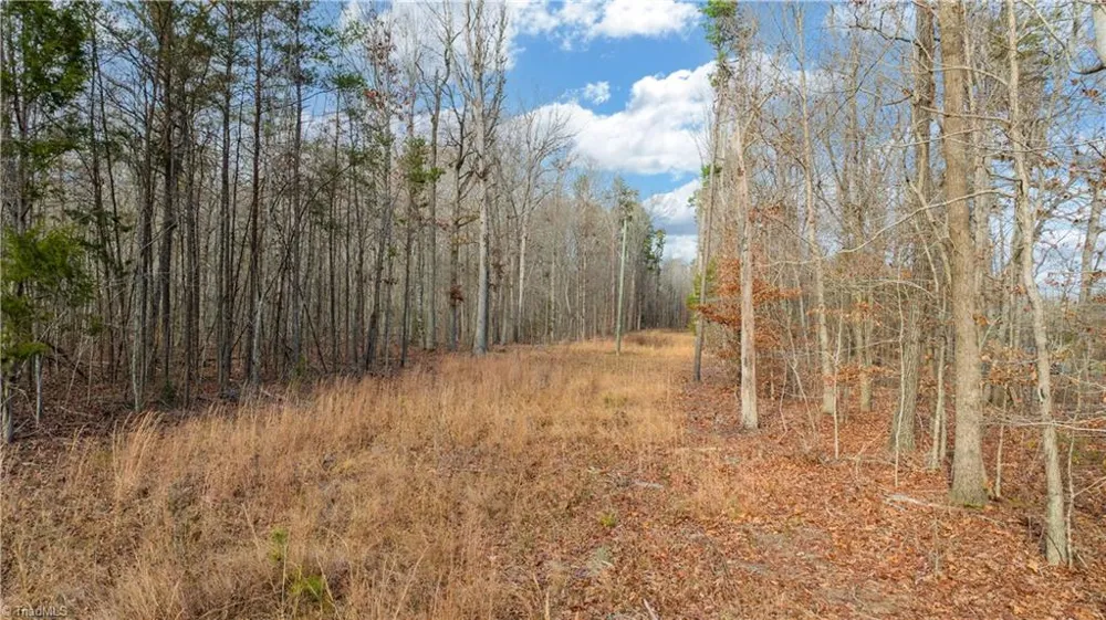 0 Cooper Road Staley, NC 27355