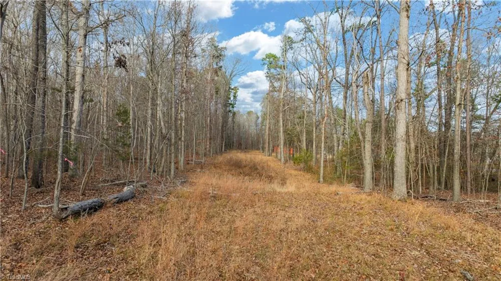 0 Cooper Road Staley, NC 27355