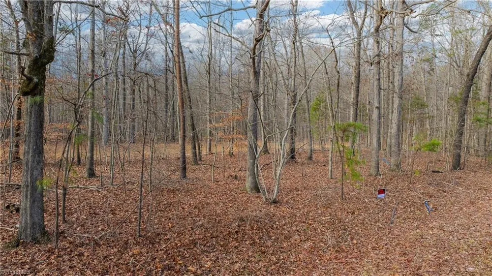 0 Cooper Road Staley, NC 27355