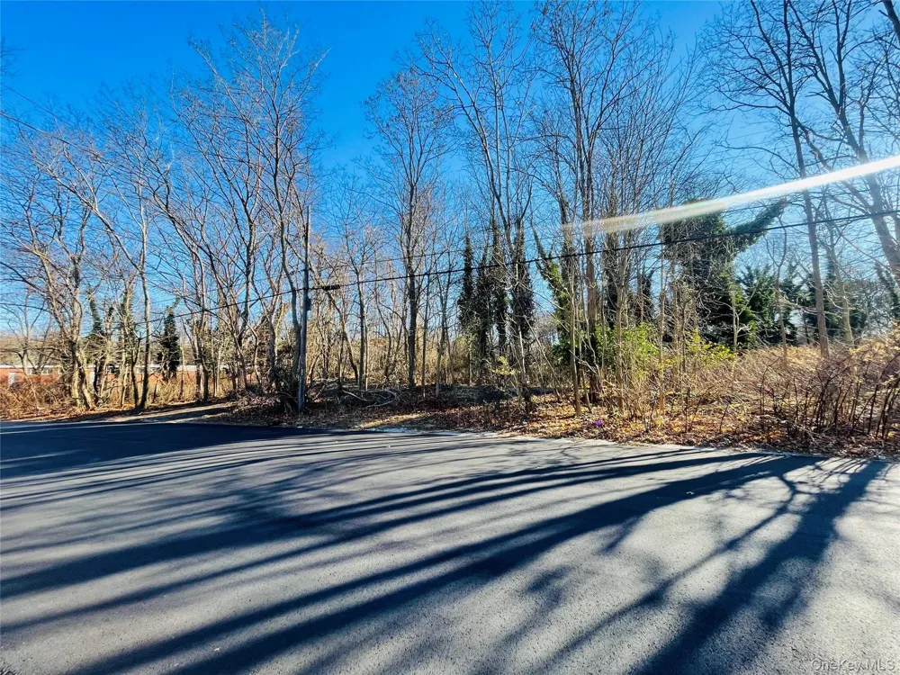 VL Meadowmere Avenue Mastic, NY 11950