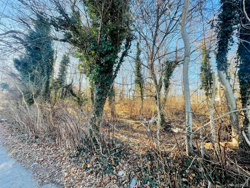 VL Meadowmere Avenue Mastic, NY 11950