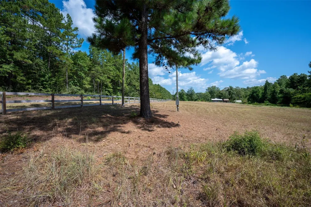 247 Blooming Dogwood Road Chester, TX 75960