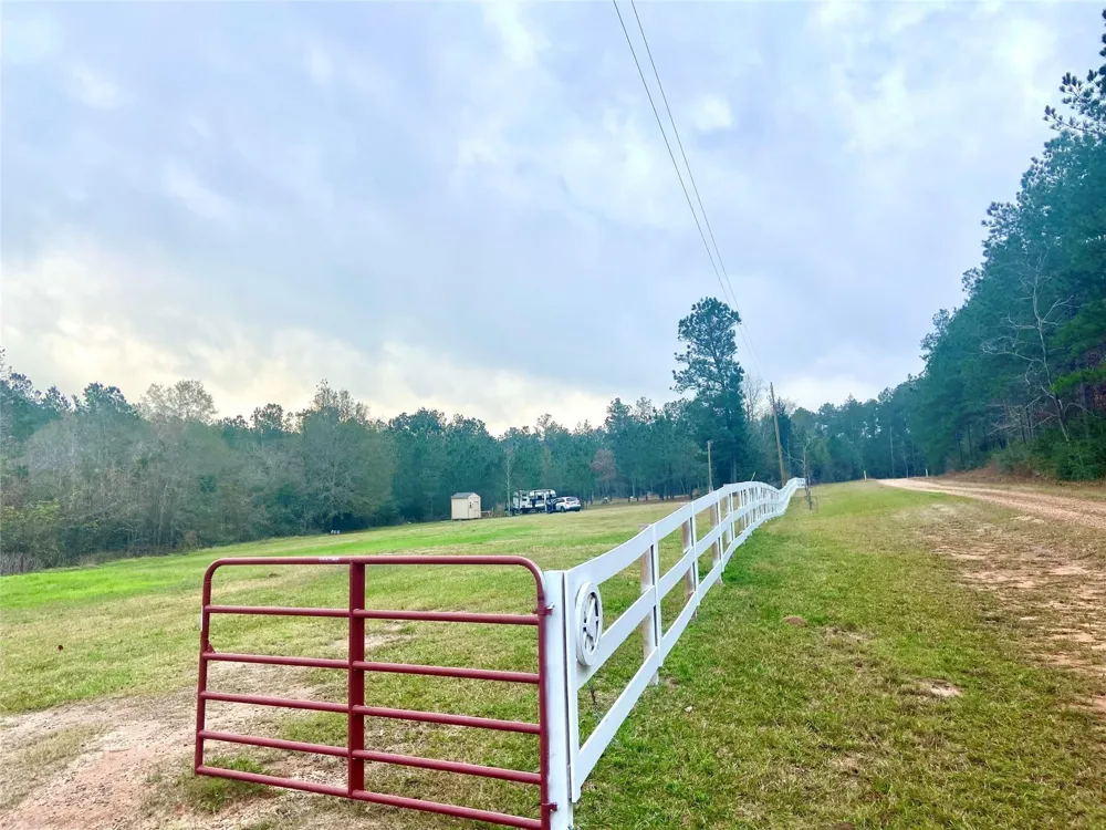 247 Blooming Dogwood Road Chester, TX 75960