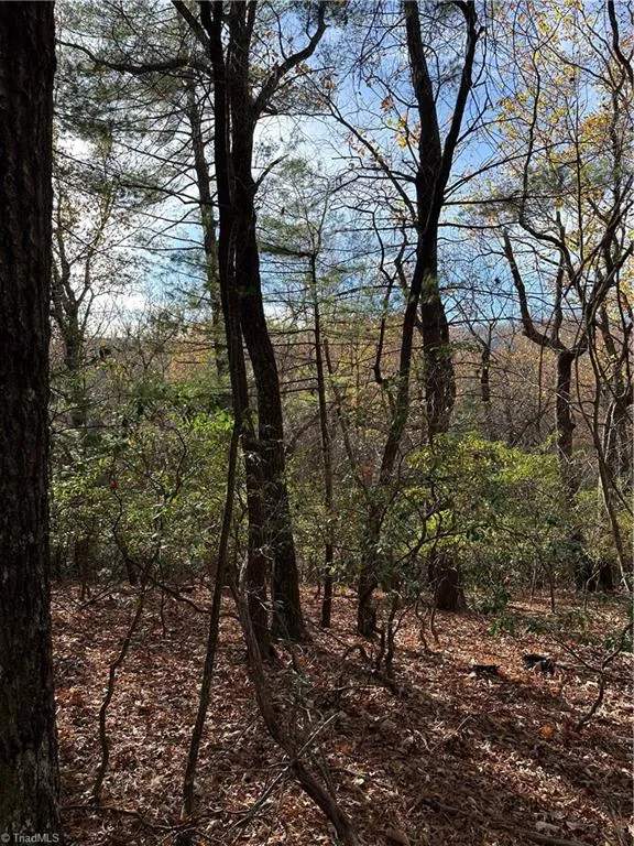 TBD Courtland Lane Lowgap, NC 27024