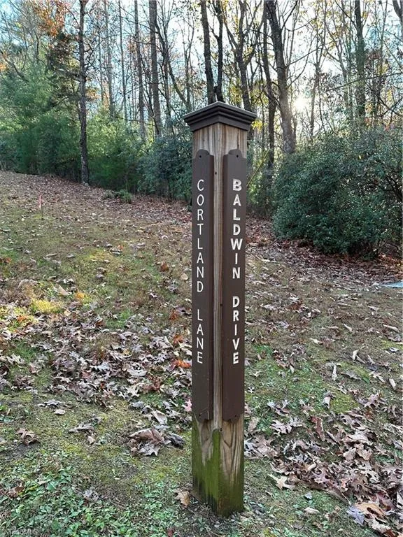 TBD Courtland Lane Lowgap, NC 27024