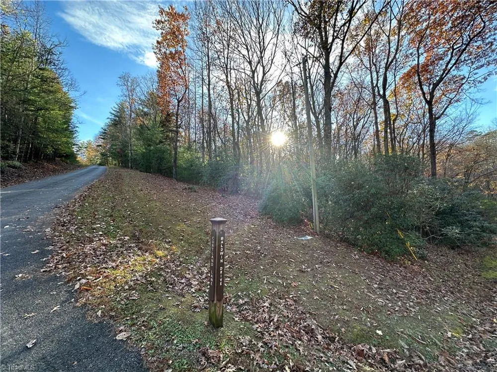 TBD Courtland Lane Lowgap, NC 27024