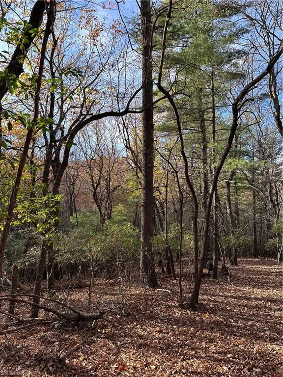 TBD Courtland Lane Lowgap, NC 27024