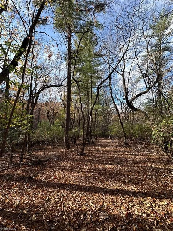 TBD Courtland Lane Lowgap, NC 27024